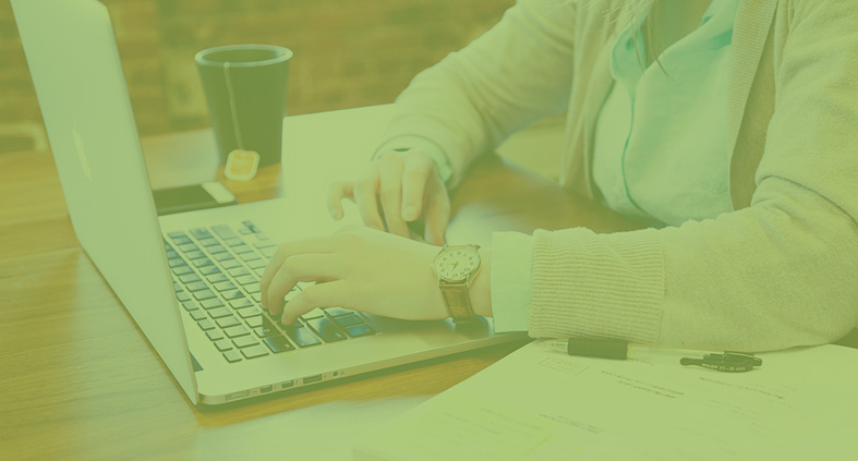 website design and development