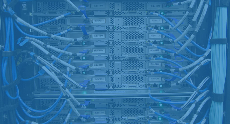 website design and development